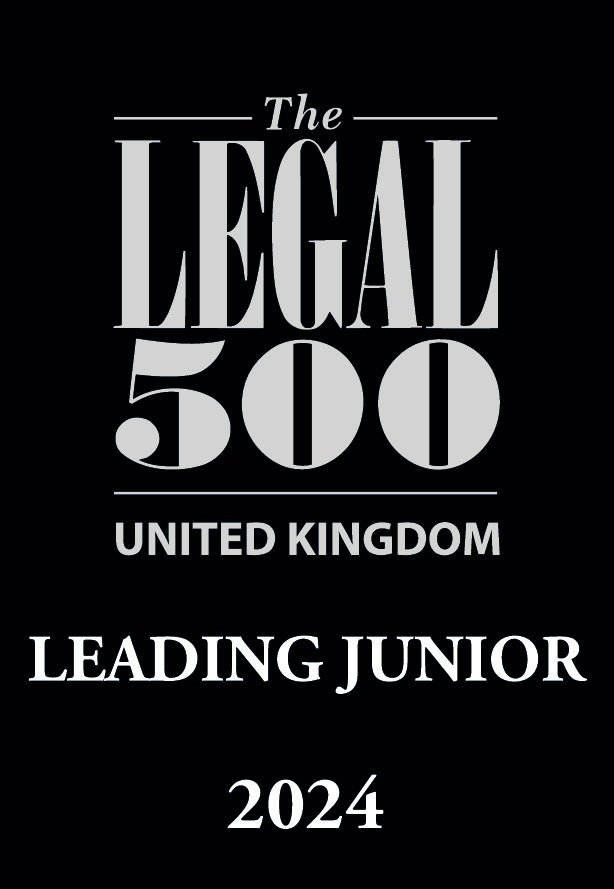 Leading Junior The Legal 500 2024