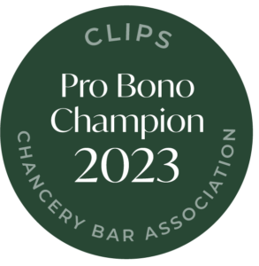 Pro Bono Champion 2023