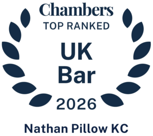 2026 C&P Nathan Pillow